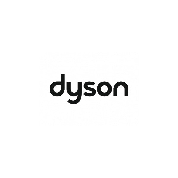 For Dyson Series For Dyson Series